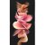 Samsung Galaxy Z Flip3 5G